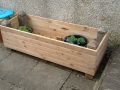 BIG-PLANTER