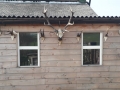 IMG-20190418-WA0000