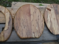 Spalted beech toilet seat